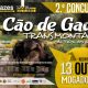 II concurso CAO DE GADO TRANSMONTANO 2018