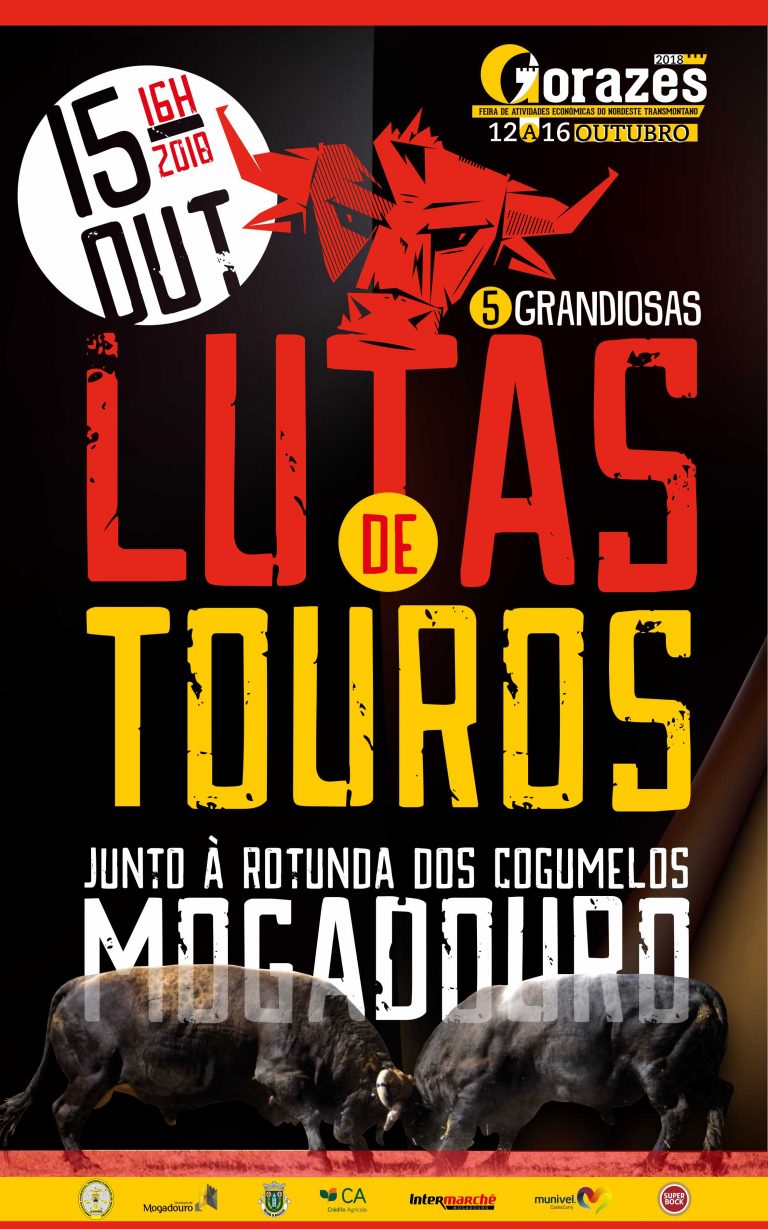LUTA DE TOUROS