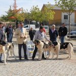Concurso cao gado gorazes 2018 (146)