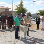 Concurso cao gado gorazes 2018 (152)