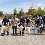 Concurso cao gado gorazes 2018 (163)