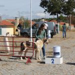 Concurso cao gado gorazes 2018 (190)