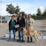 Concurso cao gado gorazes 2018 (203)