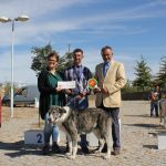 Concurso cao gado gorazes 2018 (206)