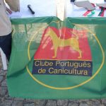 Concurso cao gado gorazes 2018 (208)