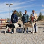 Concurso cao gado gorazes 2018 (215)