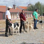 Concurso cao gado gorazes 2018 (63)