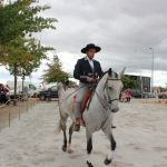 Demonstracao equestre batismo cavalo (28)