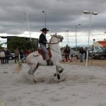 Demonstracao equestre batismo cavalo (30)