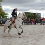 Demonstracao equestre batismo cavalo (34)