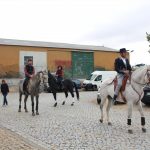 Demonstracao equestre batismo cavalo (42)