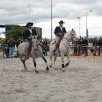 Demonstracao equestre batismo cavalo (47)