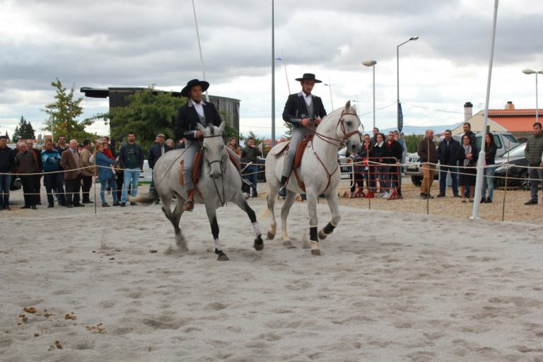 Demonstracao equestre batismo cavalo (47)
