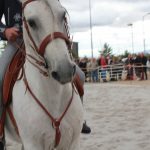 Demonstracao equestre batismo cavalo (48)