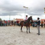 Demonstracao equestre batismo cavalo (57)
