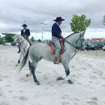 Demonstracao equestre batismo cavalo (6)