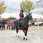 Demonstracao equestre batismo cavalo (60)