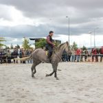 Demonstracao equestre batismo cavalo (62)