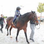 Demonstracao equestre batismo cavalo (78)
