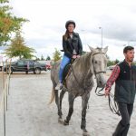 Demonstracao equestre batismo cavalo (89)