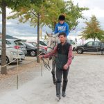 Demonstracao equestre batismo cavalo (93)
