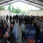Racas autocnes mogadouro (31)