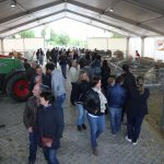 Racas autocnes mogadouro (32)