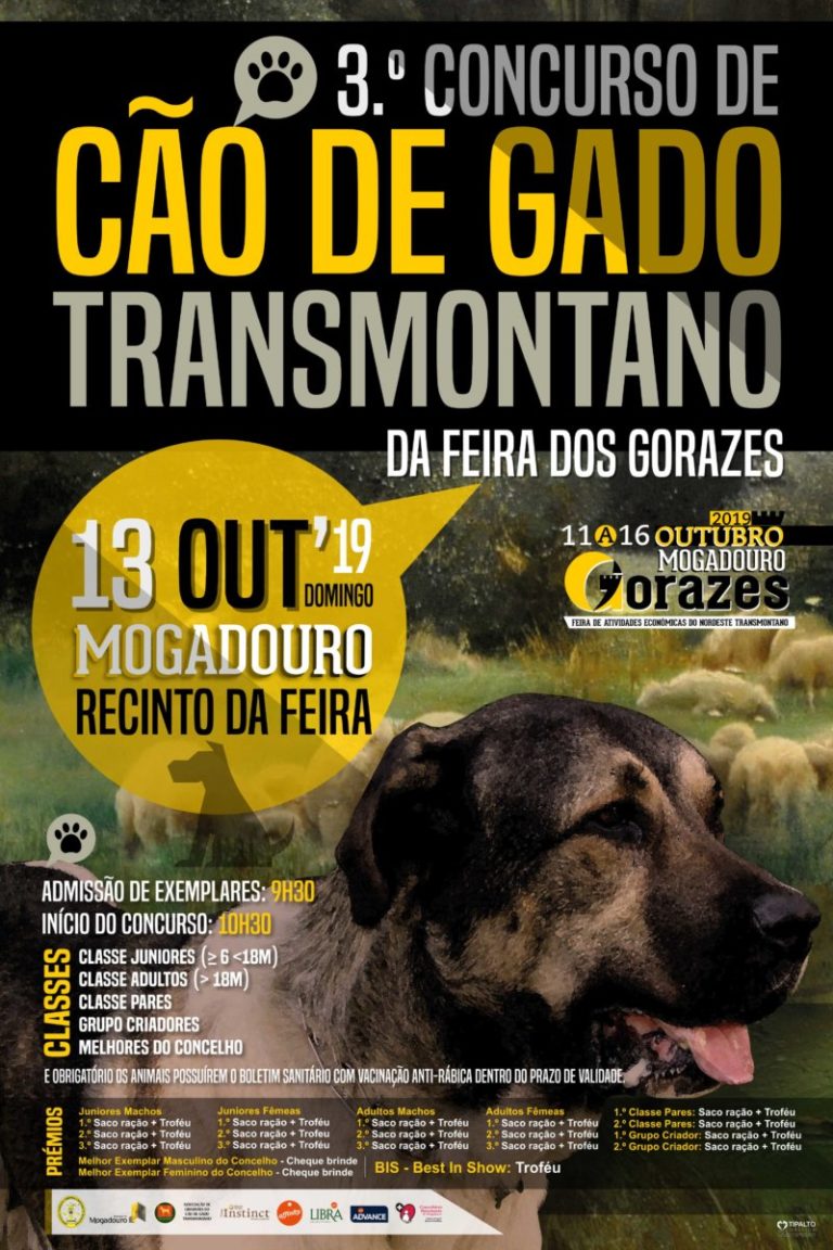 III concurso CAO DE GADO TRANSMONTANO gorazes