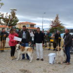 Gorazes 2019 concurso cao gado transmontano15