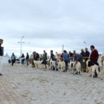 Gorazes 2019 concurso cao gado transmontano16