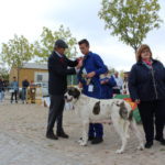 Gorazes 2019 concurso cao gado transmontano19