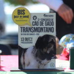 Gorazes 2019 concurso cao gado transmontano2