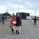 Gorazes 2019 concurso cao gado transmontano20