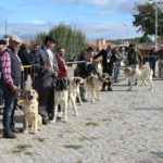 Gorazes 2019 concurso cao gado transmontano4