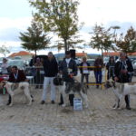 Gorazes 2019 concurso cao gado transmontano6