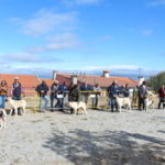 Gorazes 2019 concurso cao gado transmontano7