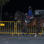 Gorazes 2019 espetaculo equestre3