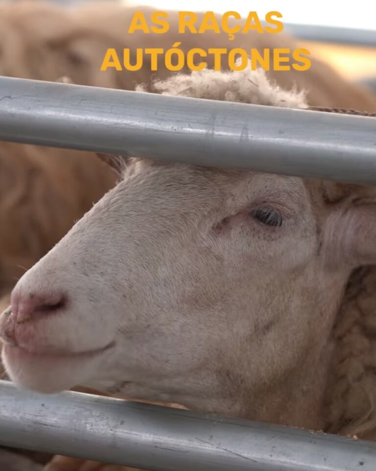 Raças.autoctones