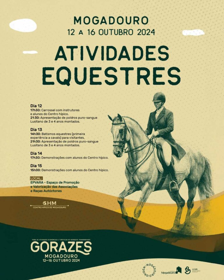 Atividades Equestres