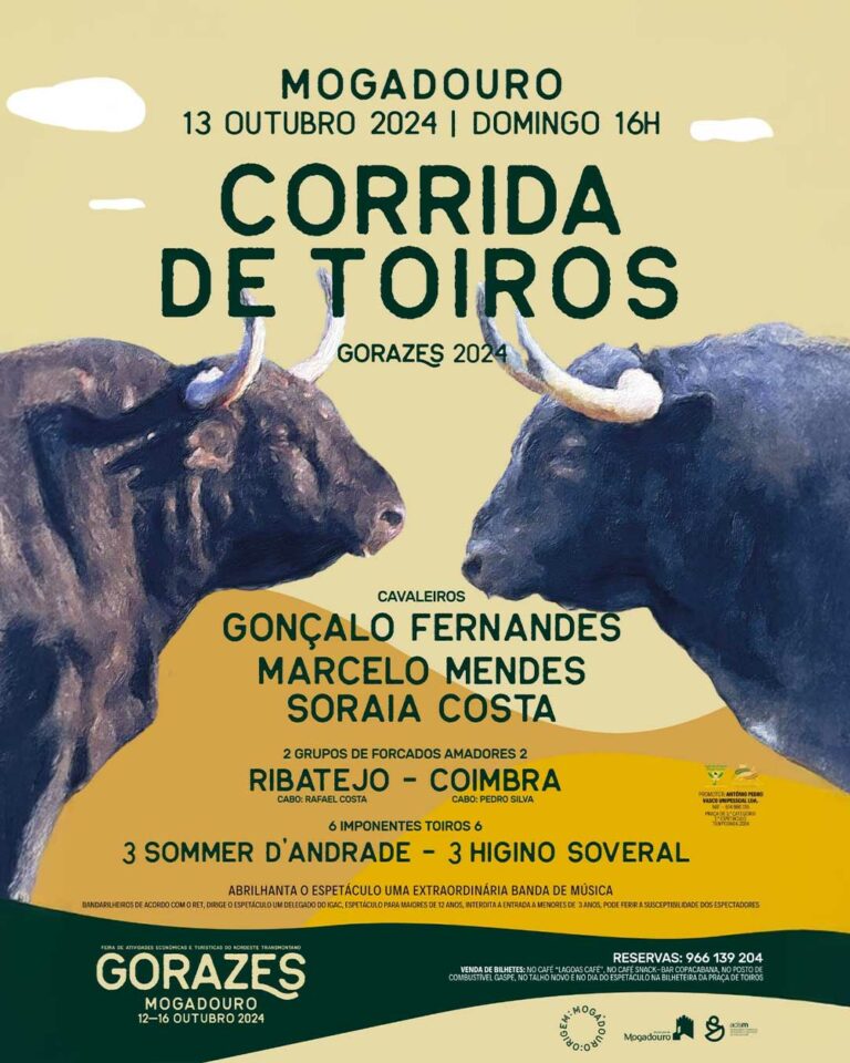 Corrida de Toiros