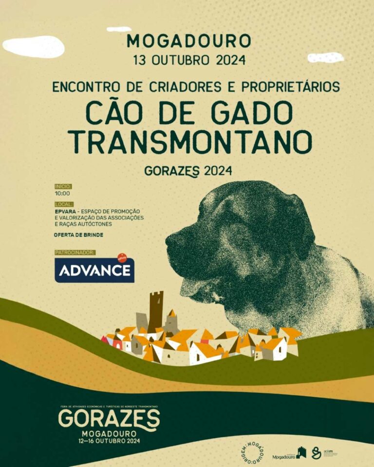 Cão de Gado Transmontano