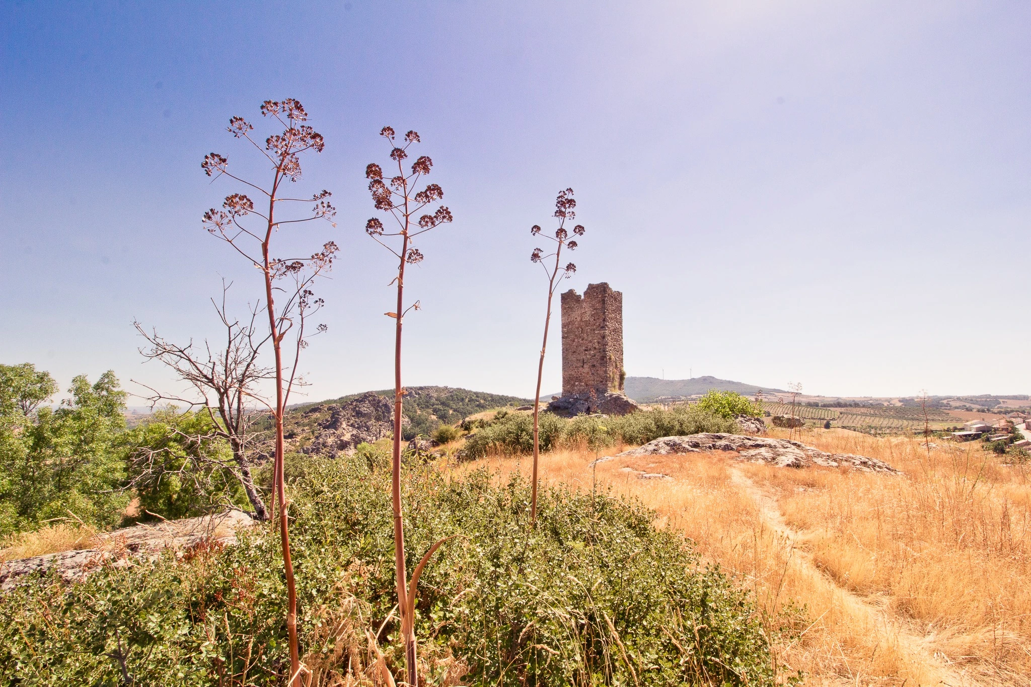 Penas roias