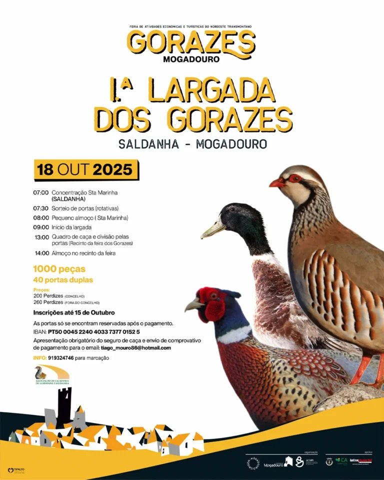 1ª largada dos gorazes