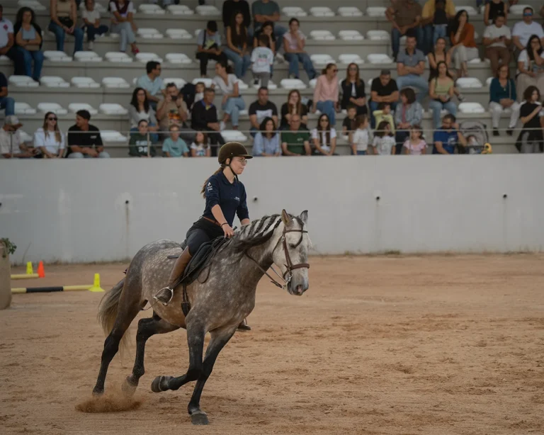 Atividade equestre2