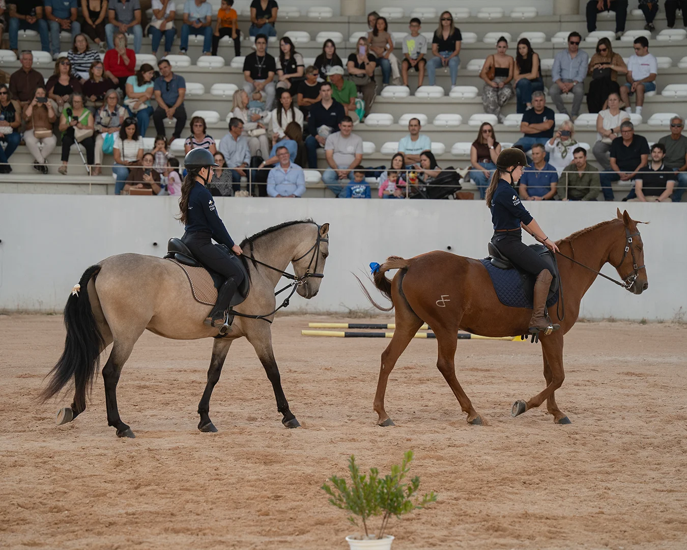 Atividade equestre8