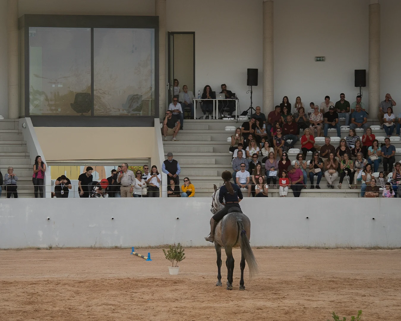 Atividade equestre9