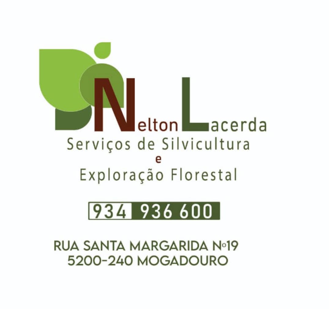 Nelton Lacerda