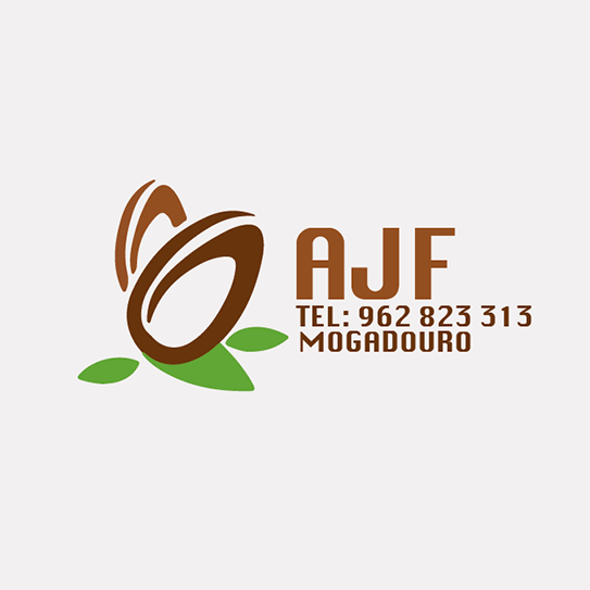 Artur jose ferreira